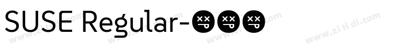 SUSE Regular字体转换